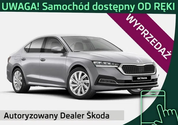 Skoda Octavia cena 129650 przebieg: 3, rok produkcji 2024 z Piwniczna-Zdrój małe 22